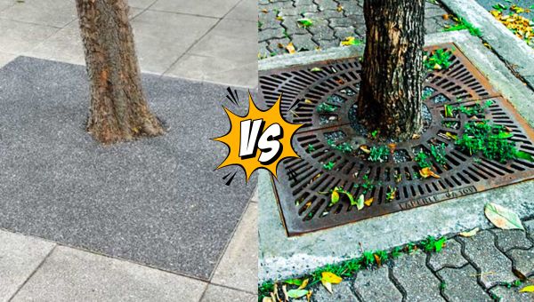 Permeable Tree Surrounds vs Tree pits 